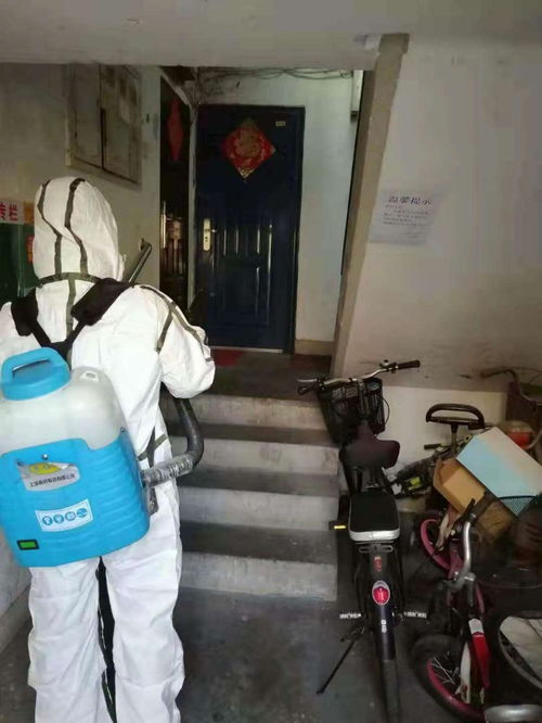 深圳室內(nèi)消毒滅菌服務(wù) 專業(yè)守護(hù)家居、校園與商業(yè)空間的健康環(huán)境